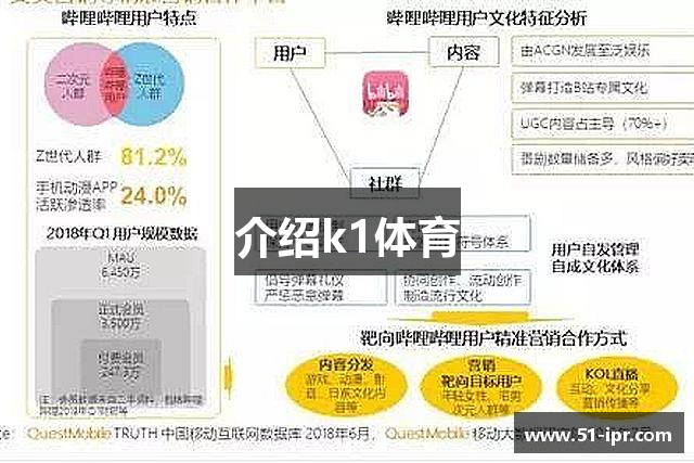 介绍k1体育